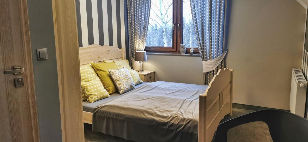 Willa Sowia Dolina - Apartamenty Z Aneksami I Wyjsciem Na Ogrod Карпач Экстерьер фото