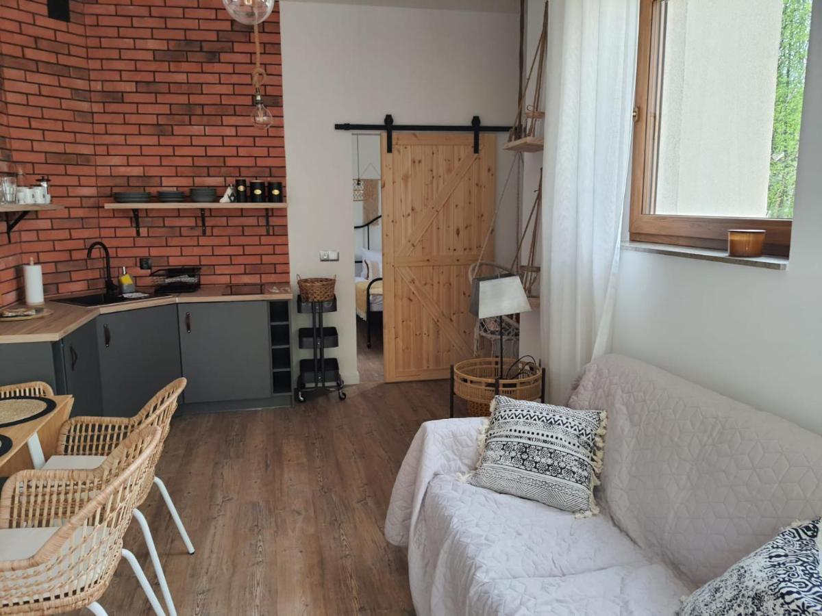 Willa Sowia Dolina - Apartamenty Z Aneksami I Wyjsciem Na Ogrod Карпач Экстерьер фото